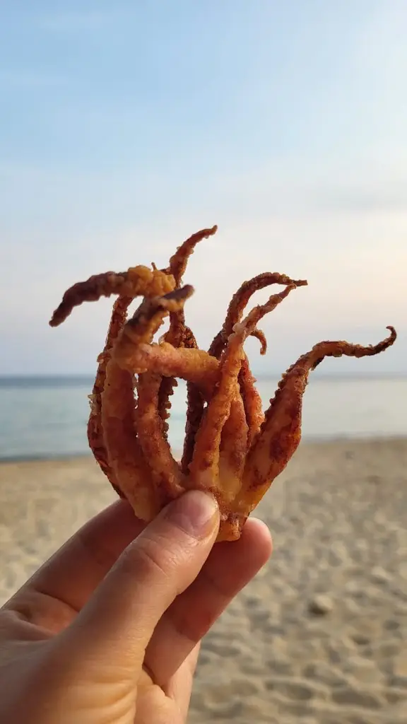 Mile Doldurov_Akrogiali Seafood Restaurant_Néa Flogitá_Bewertung