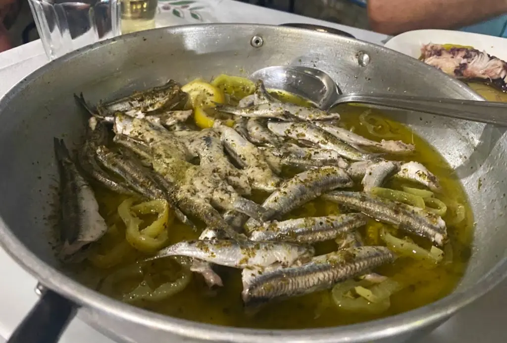 Menü_Μεζεδοπωλείο 