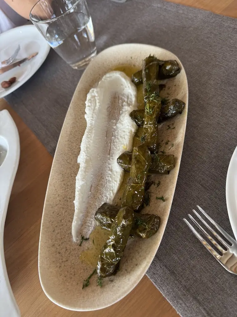 yiannis Lentzakis_Marina_Néa Poteídaia_review