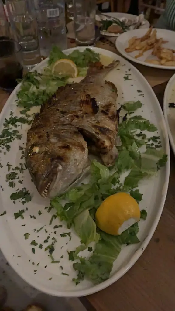 Katerina Pesic_Το Κρίταμο -To kritamo_Néa Poteídaia_Bewertung