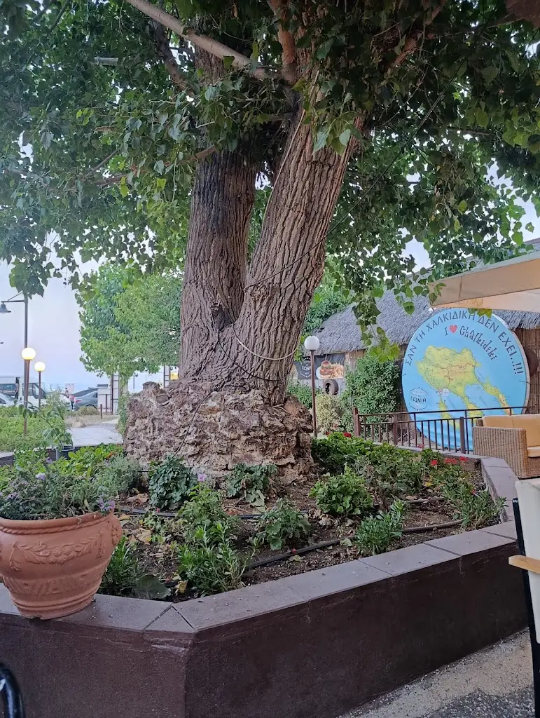 ΓΩΝΙΑ grill_Néa Poteídaia_slider_image_3