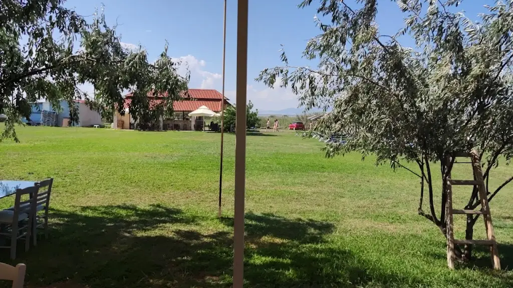 Kwn Zik_Porto Inn Restaurant - Bar_Néa Potídhaia_review