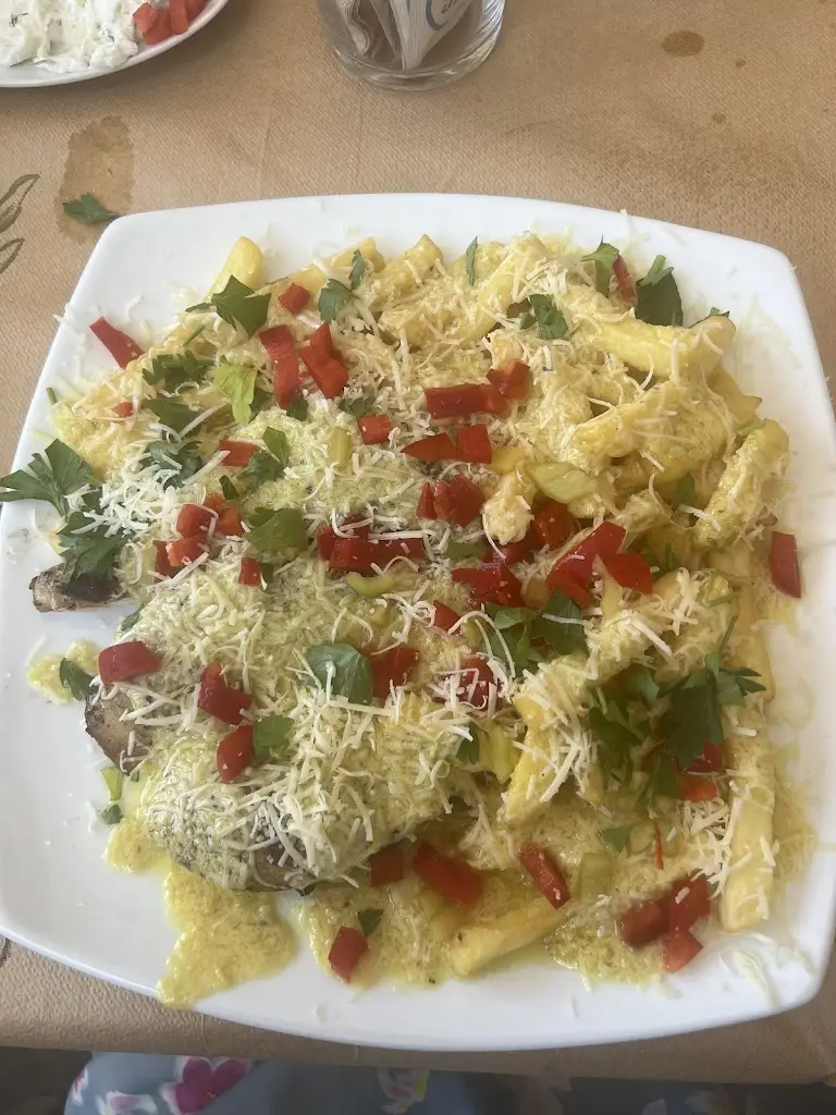 Andrada Adelaida Patrascanu_O Kokoras to Eskase_Néa Kallikráteia_Bewertung