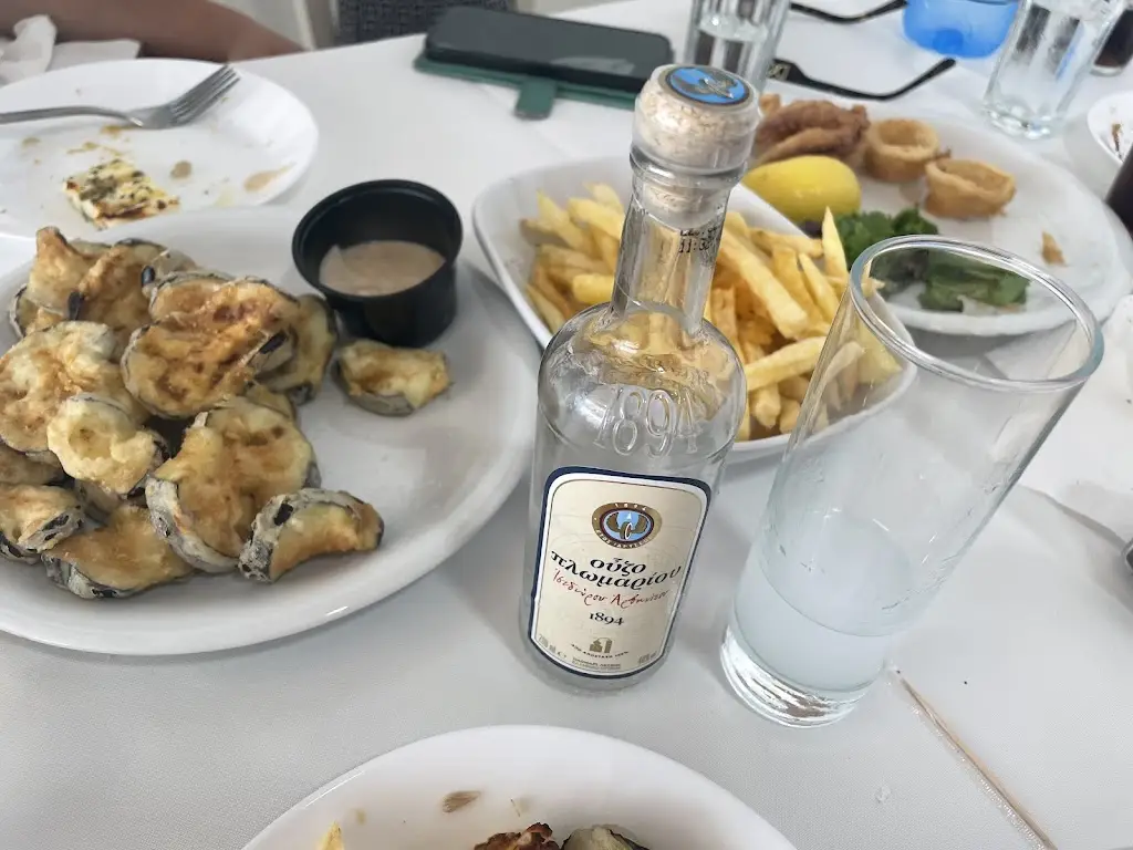 Ana Stevanovska_ΤΑ ΔΕΛΦΙΝΙΑ_Néa Kallikráteia_reseña