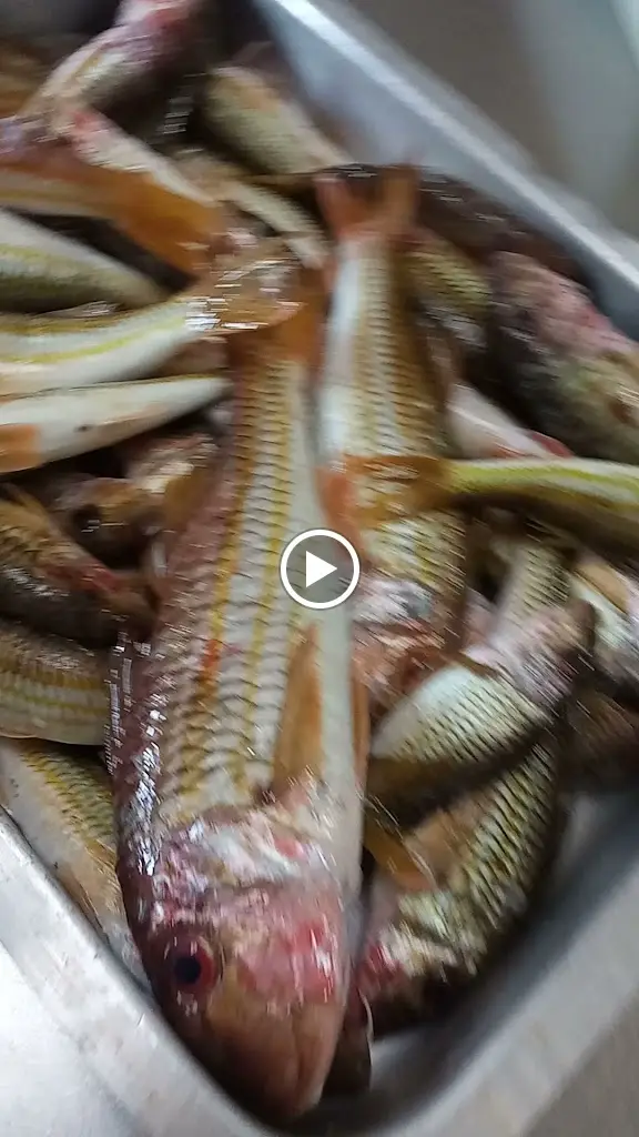 Το Μπρούσκο_Néa Kallikráteia_slider_image_2