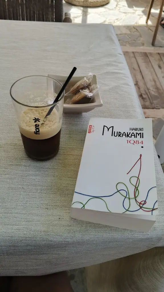 Miruna Diaconu_Twins_Néa Kallikráteia_reseña