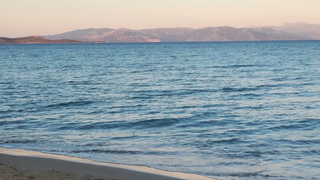 Nothemba Goldstein_Ψαροταβέρνα Λεωνίδας_Aghios Panteleímon_review