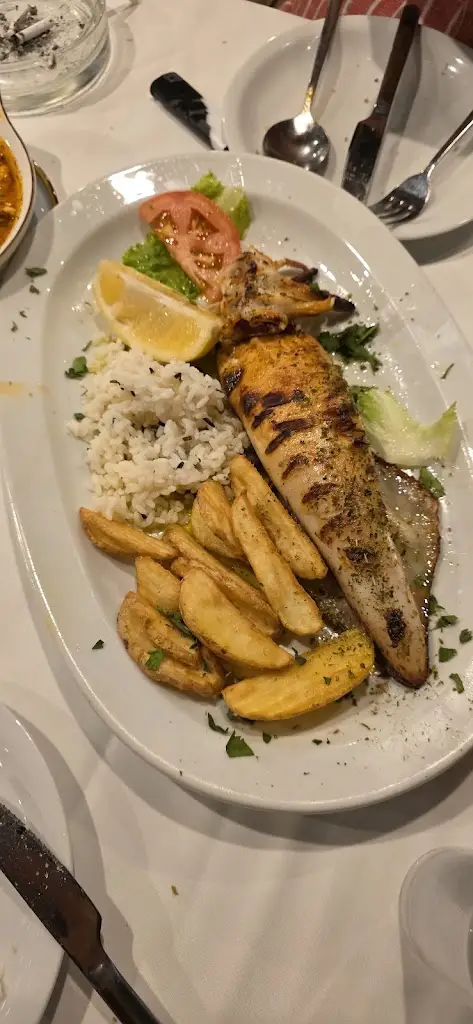 Aleksandar Topalov_Spinos_Néa Kallikráteia_review