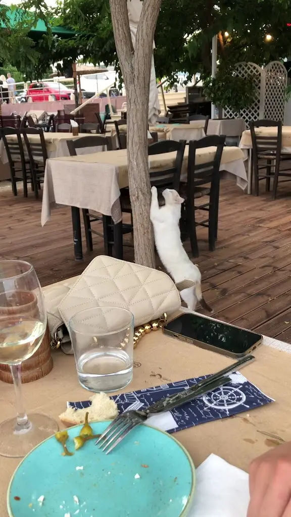 Spinos_Néa Kallikráteia_slider_image_2