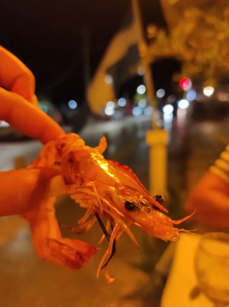 Gjurgjica Oncheva_Rōmios_Néa Kallikráteia_review