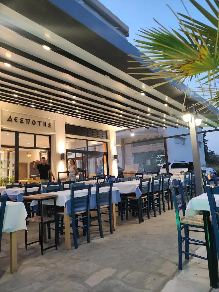 ΔΕΣΠΟΤΗΣ_Néa Moudhaniá_slider_image_1