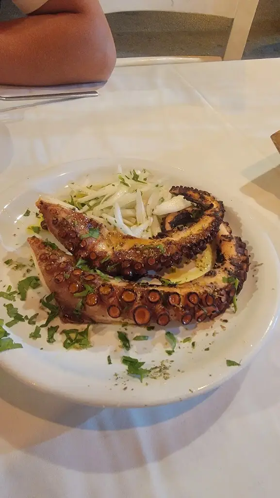 qeti shergelashvili_Odyssia_Néo Rýsi_Bewertung