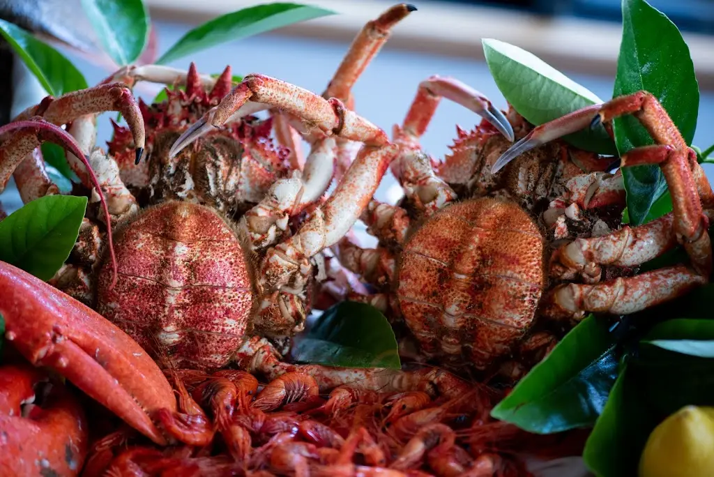 Το Μεράκι της Γεωργίας_Néos Skopós_slider_image_3