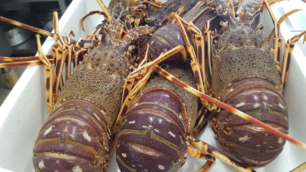 Menü_Athos Restaurant Bar_Ouranoupolis_Bild_9