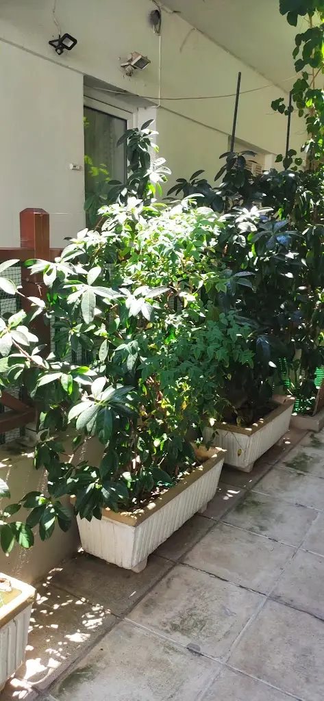 Mamounia Pizza Steak Burger House_Ouranoupolis_slider_image_2