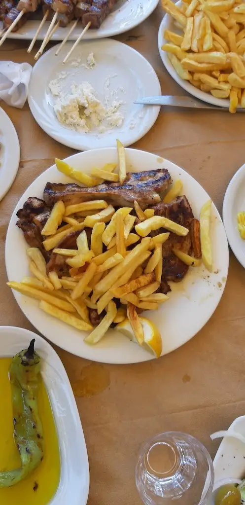 ΕΛΕΝΗ ΖΟΥΜΠΟΥΛΙΔΟΥ_Apostolēs_Polýgyros_review