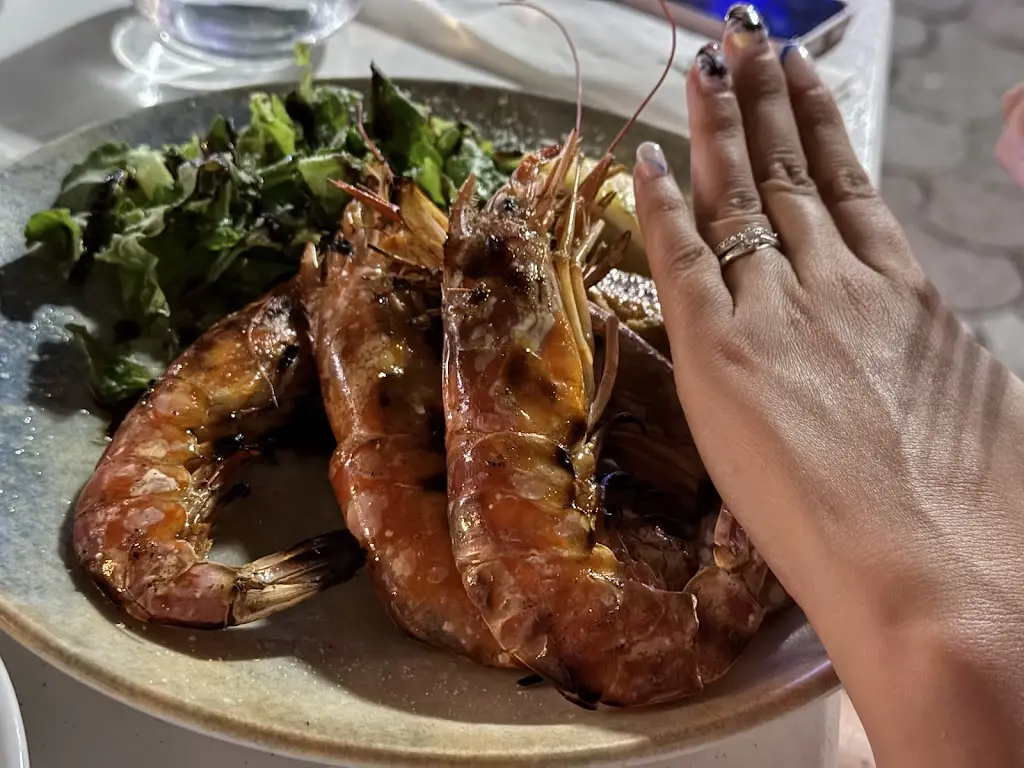 Martin Bechev_Lauer House_Sárti_review