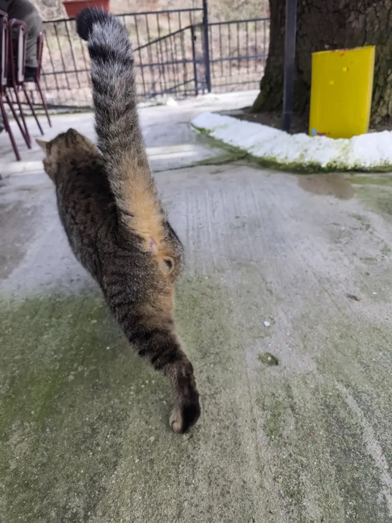 charisopoulos christos_Ταβέρνα ''Το Γεφύρι''_Sidirókastro_Bewertung