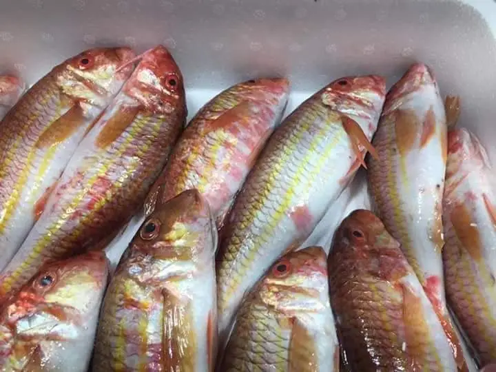 Fish Tavern Cyclades_Síndos_slider_image_3