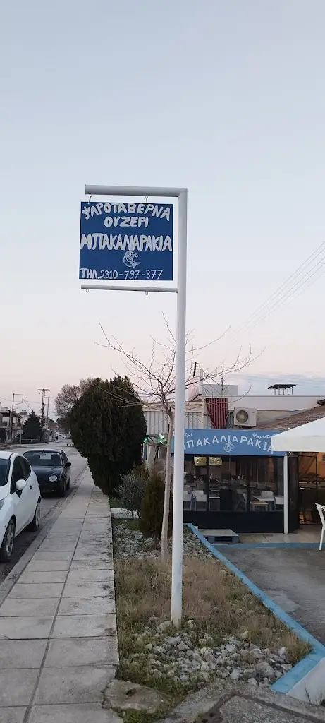 Eleni Kiroglou_Μπακαλιαράκια Στις Γραμμές Της Σίνδου_Síndos_avis