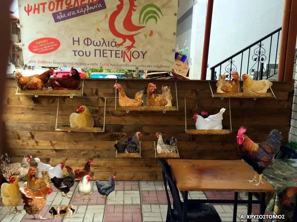 Η φωλιά του Πετεινού_Stathmós Mourión_slider_image_3