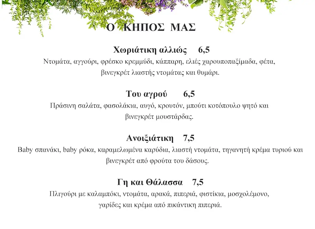 Menu_Bagonia_Skýdra_image_4