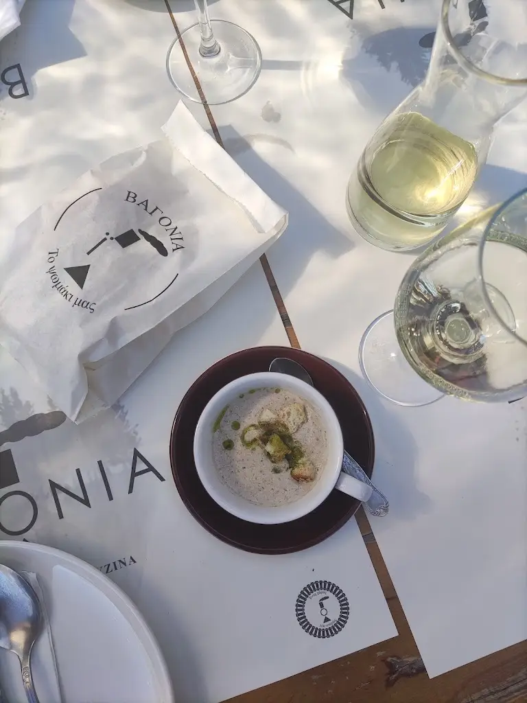 Fenya Kompatsiari_Bagonia_Skýdra_review