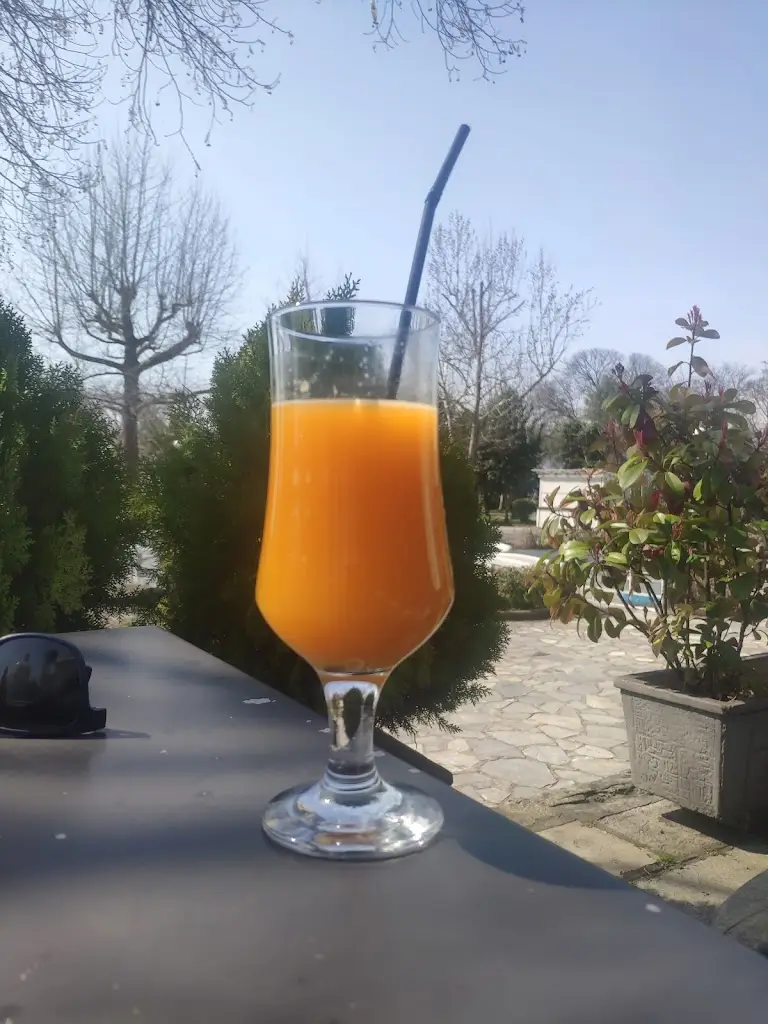 Menu_Trikala Fortress_Tríkala_imagen_6