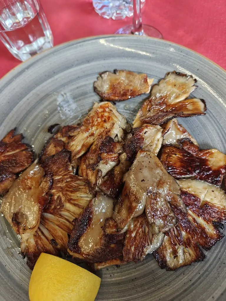 Gilca Fabiana_Mezedokamṓmata_Tríkala_Bewertung