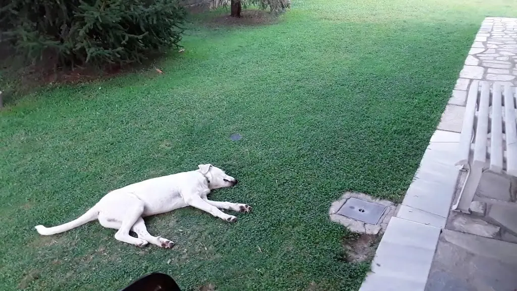 Pentágōno_Oichalía_slider_image_2