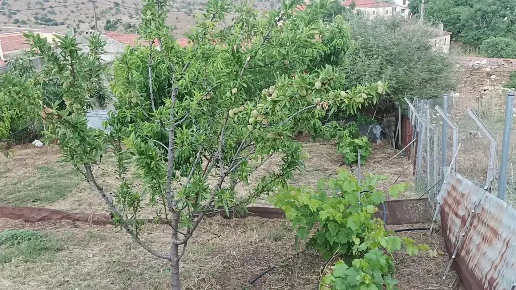 Ταβέρνα - Οβελιστήριο - Ψητοπωλείο - Καφενείο - Μπαρ 