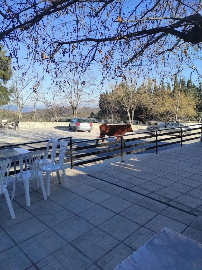 Ταβέρνα - Οβελιστήριο - Ψητοπωλείο - Καφενείο - Μπαρ 