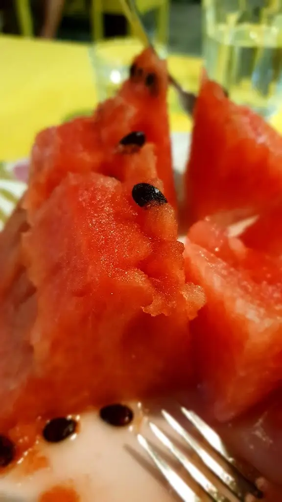 Marta_Ilios_Agía Galíni_avis