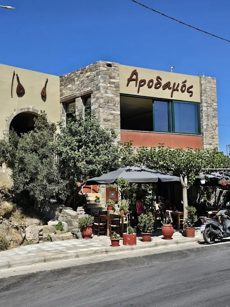 Antti Koivisto_Arodamos_Anógeia_avis