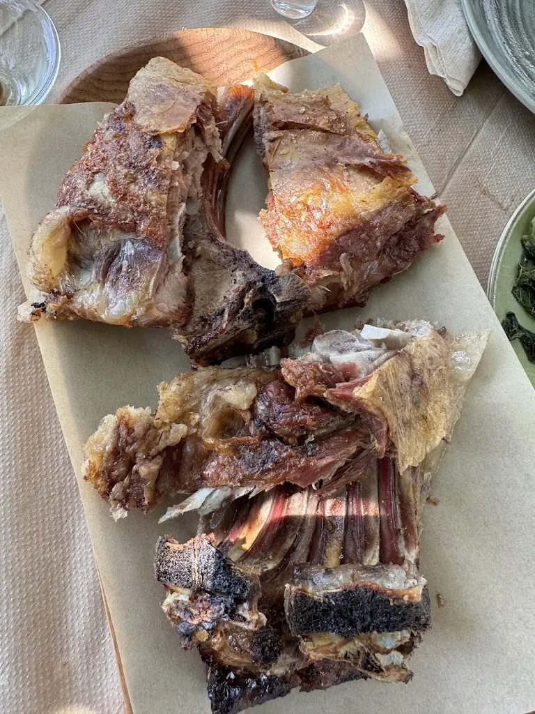 Konstantinos Kalogerakis_Arodamos_Anógeia_avis