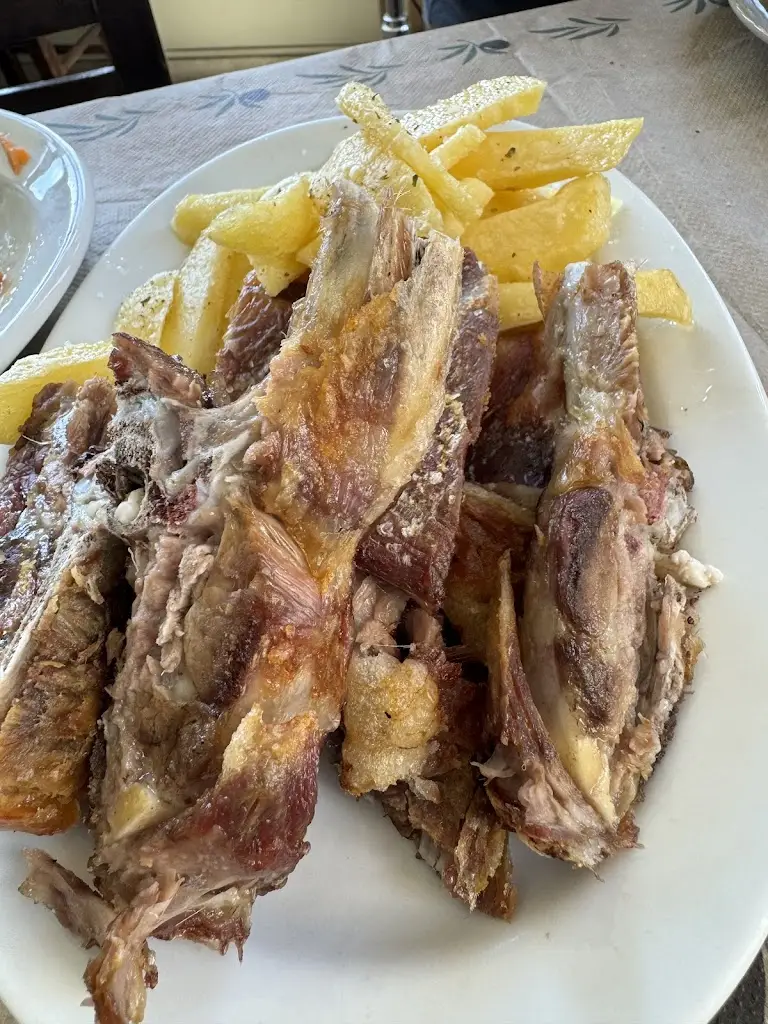 Jenny Spring_Arodamos_Anógeia_avis