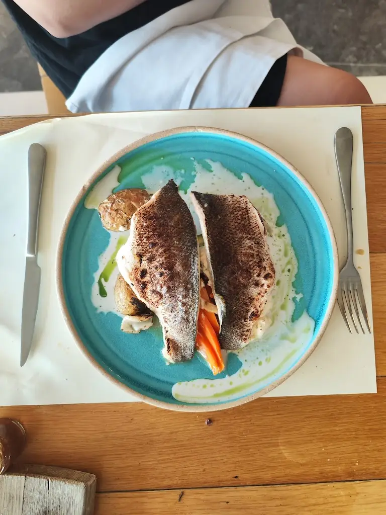 baha koltan_Salis_Chaniá_review