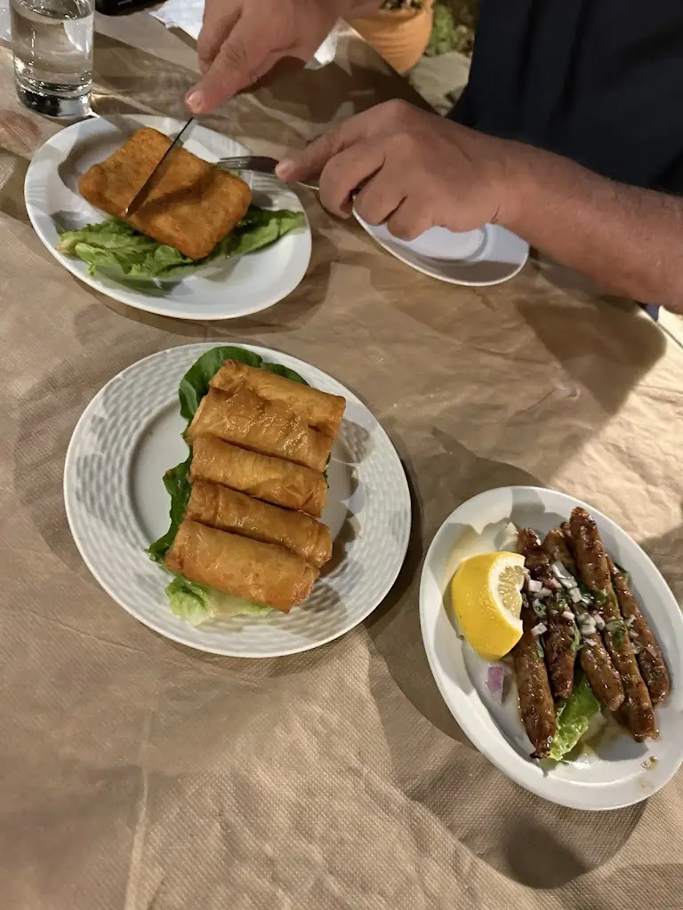 Myrlène Fortin_Taverna Dimitris and Sakis_Darátsos_review