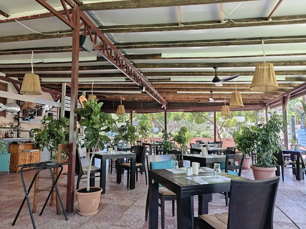 Alexandra Polisevschi_Kuzina Galerie_Darátsos_Bewertung