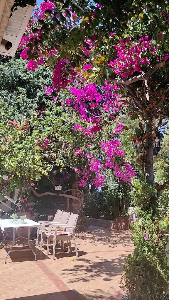 Artemis Restaurant_Darátsos_slider_image_2