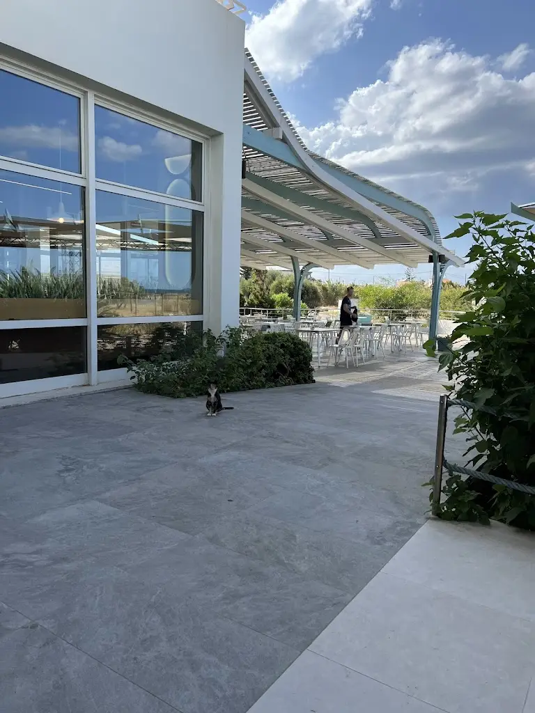 Kate B_Cibus_Goúrnes_Bewertung