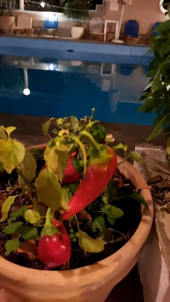 AELIA Greek restaurant_Geráni_slider_image_2