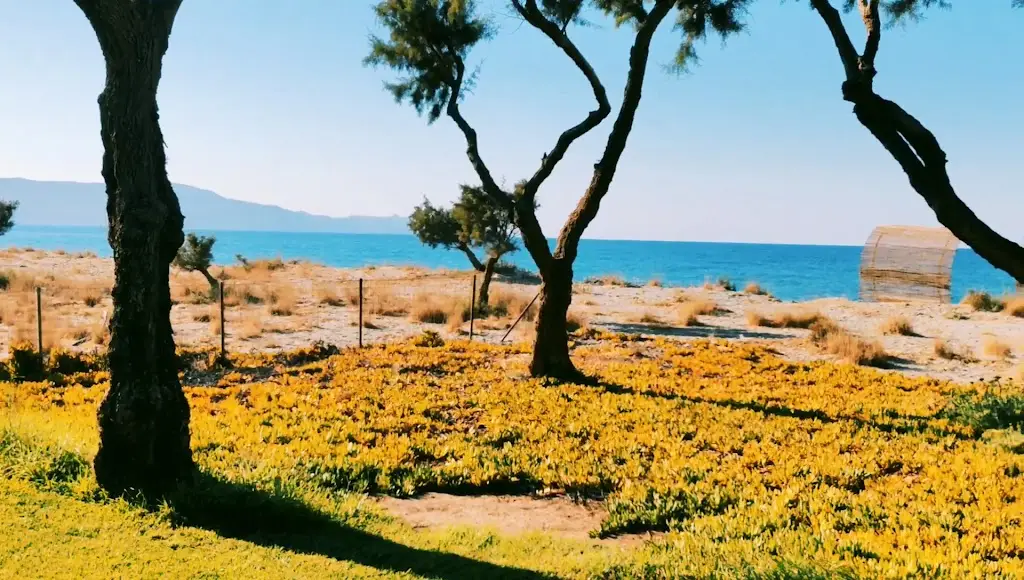 Lito pool bar & restaurant_Geráni_slider_image_2