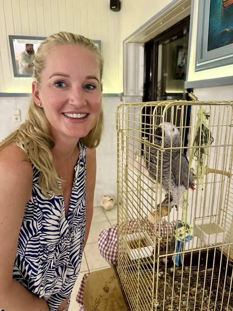 Paul Goldsmith_Στου Μαρκουλακη at Markoulakis_Geráni_recensione