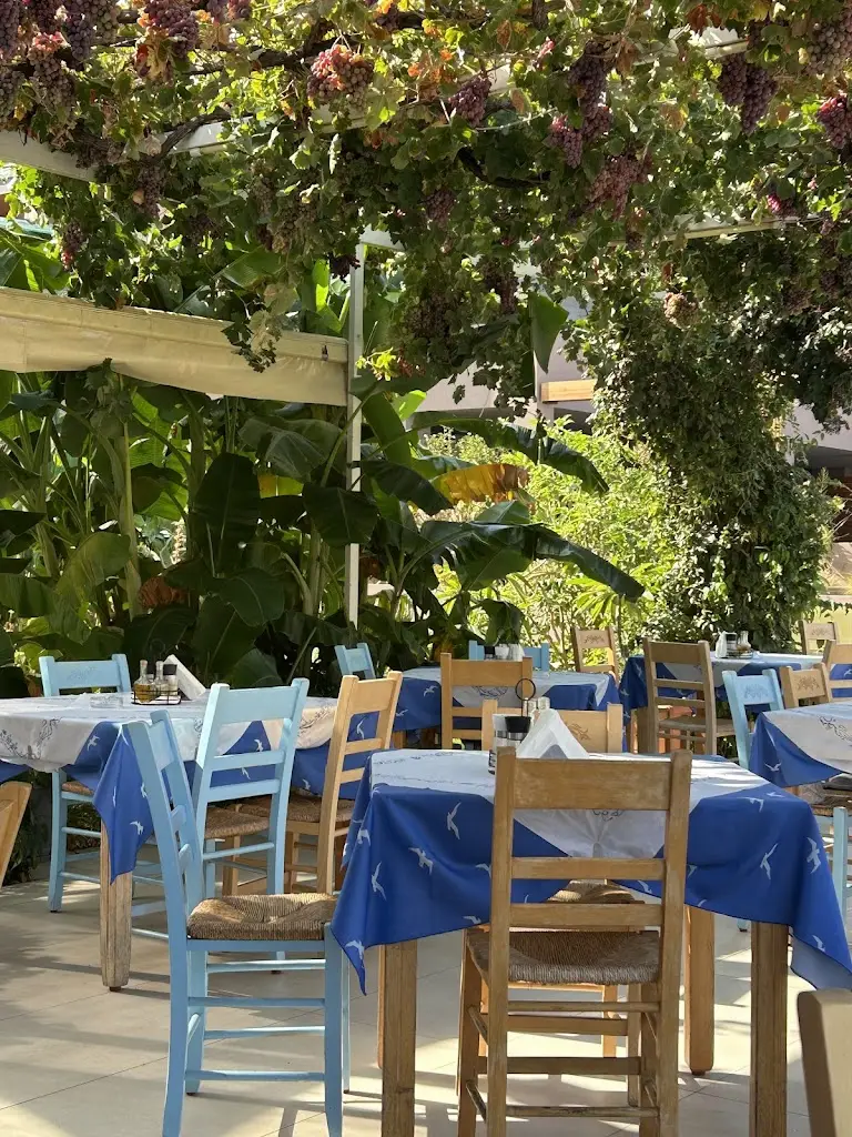 Taverna Glaros_Georgioupolis_slider_image_3