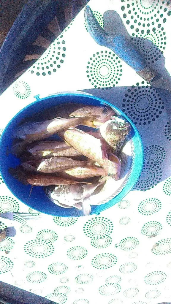 Menu_Pentanostimo_Kokkíni Cháni_image_7