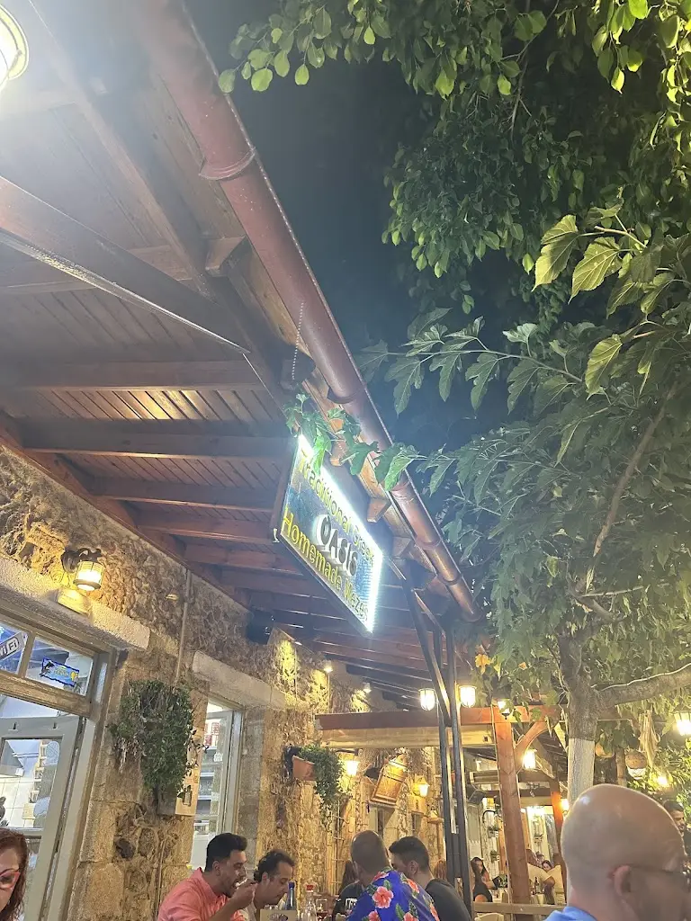 Galina Shelest_Oasis_Limín Khersonísou_Bewertung