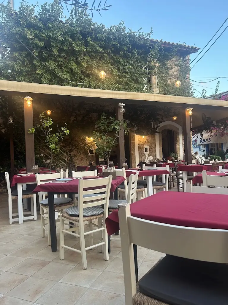 OLIVA Cretan Authentic Cuisine_Mália_slider_image_3