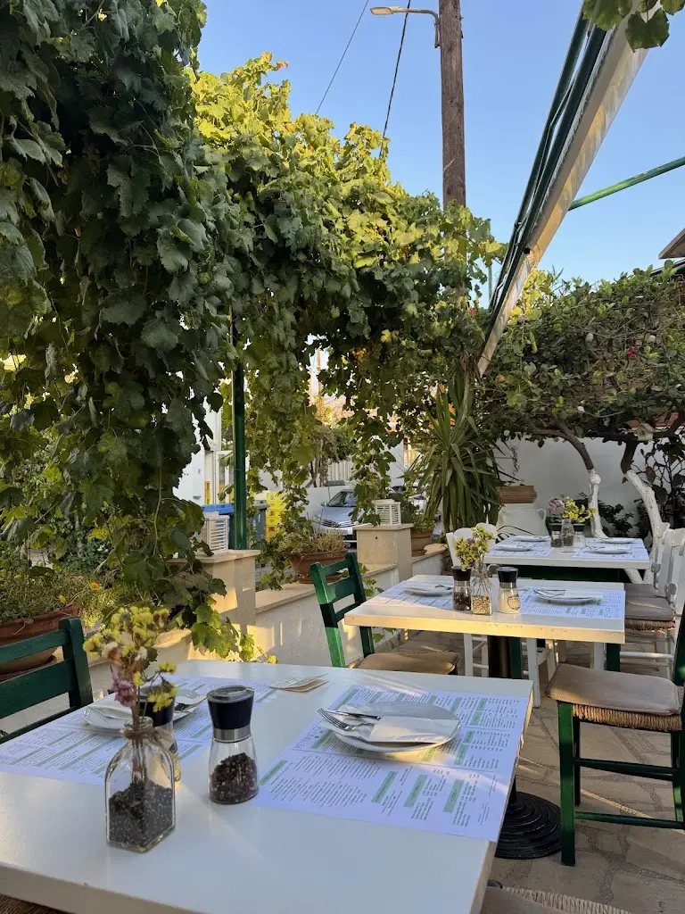 Petrino Garden_Mália_slider_image_3