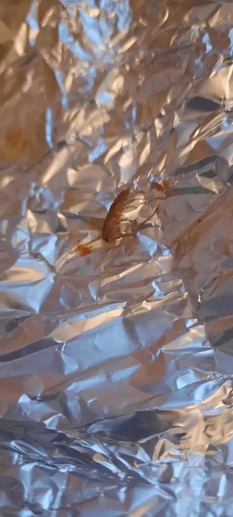 Menü_Portego_Mokhós_Bild_9